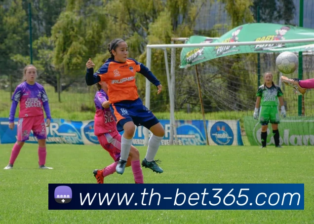 bet365全站App bet365全站App