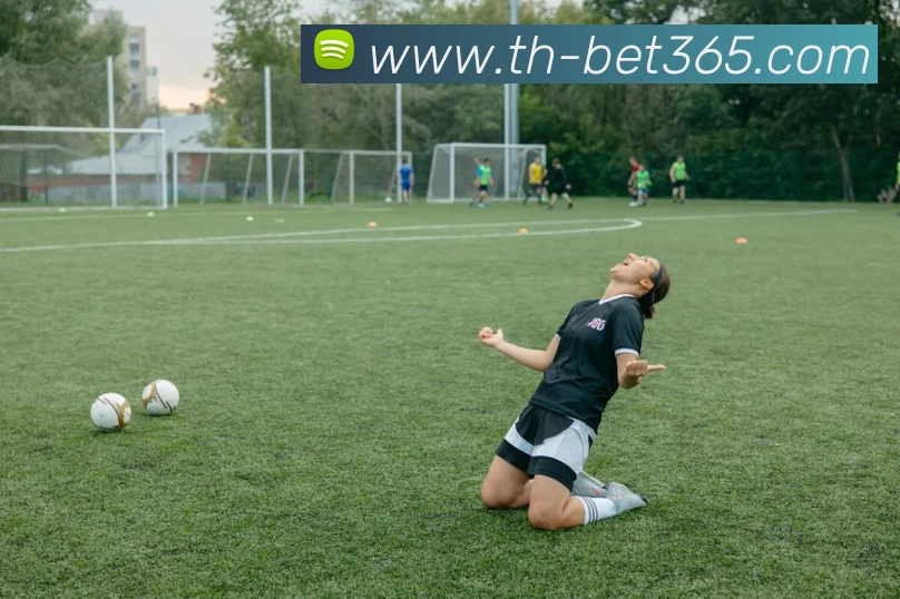 辅助工具 辅助工具